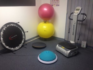Photo of some of our balance-challenging equipment.