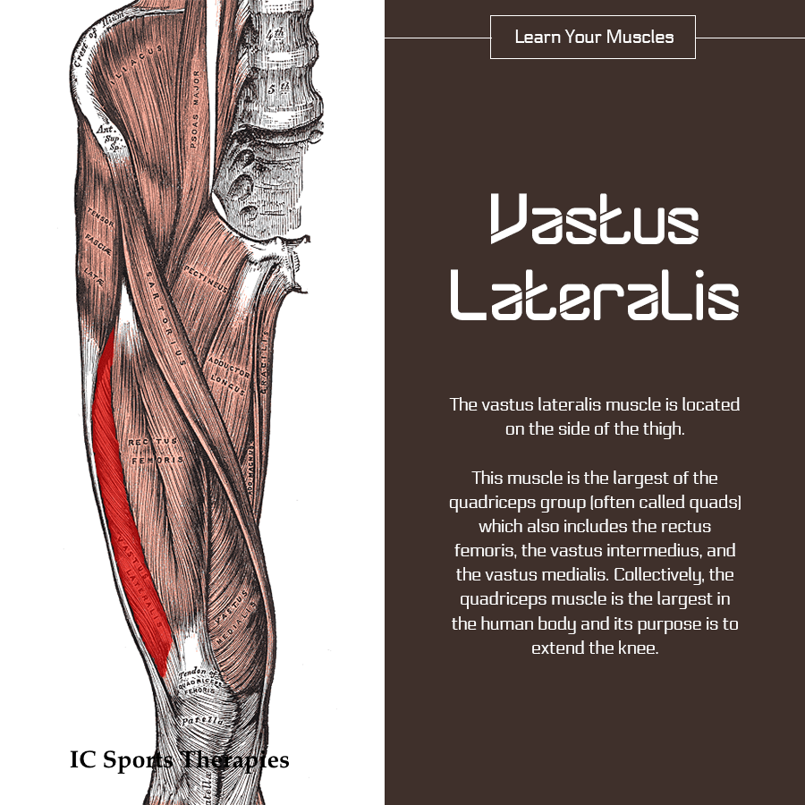 IT Band and Vastus Lateralis Release