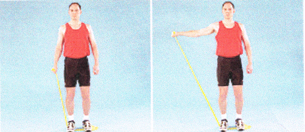 Ball and socket joint movement picture